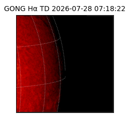 gong - 2026-07-28T07:18:22