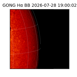 gong - 2026-07-28T19:00:02
