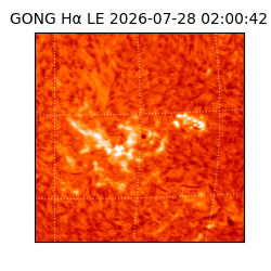 gong - 2026-07-28T02:00:42