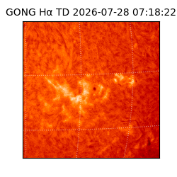 gong - 2026-07-28T07:18:22