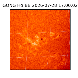 gong - 2026-07-28T17:00:02