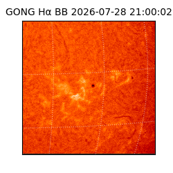 gong - 2026-07-28T21:00:02