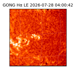 gong - 2026-07-28T04:00:42