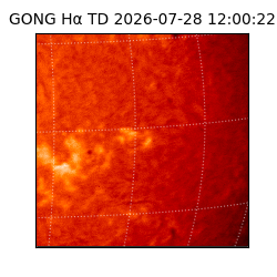 gong - 2026-07-28T12:00:22