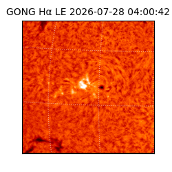 gong - 2026-07-28T04:00:42