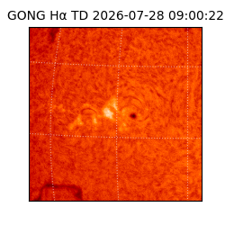 gong - 2026-07-28T09:00:22
