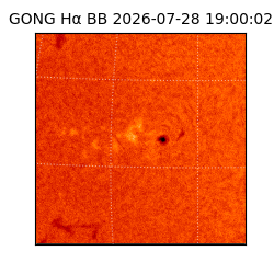 gong - 2026-07-28T19:00:02
