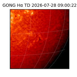 gong - 2026-07-28T09:00:22