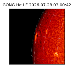 gong - 2026-07-28T03:00:42