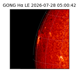 gong - 2026-07-28T05:00:42