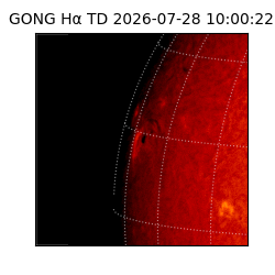 gong - 2026-07-28T10:00:22