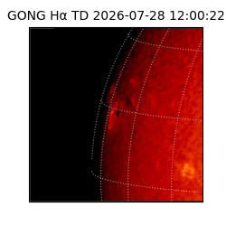 gong - 2026-07-28T12:00:22