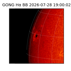 gong - 2026-07-28T19:00:02