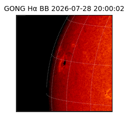 gong - 2026-07-28T20:00:02