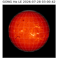 gong - 2026-07-28T03:00:42