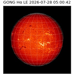 gong - 2026-07-28T05:00:42