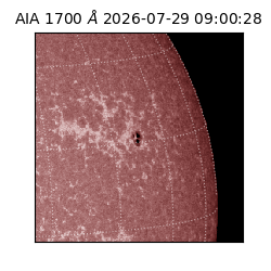 saia - 2026-07-29T09:00:28.716000
