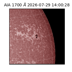 saia - 2026-07-29T14:00:28.716000