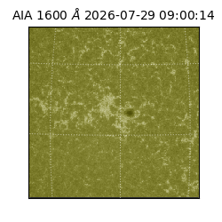 saia - 2026-07-29T09:00:14.124000