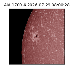 saia - 2026-07-29T08:00:28.716000