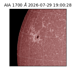 saia - 2026-07-29T19:00:28.717000