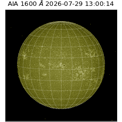 saia - 2026-07-29T13:00:14.123000