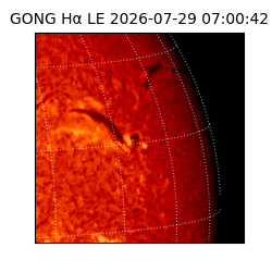 gong - 2026-07-29T07:00:42