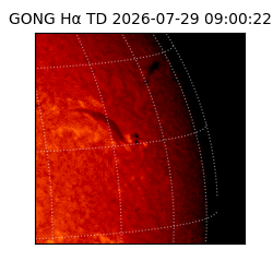 gong - 2026-07-29T09:00:22