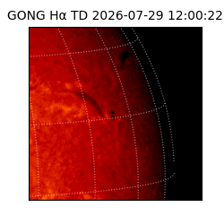 gong - 2026-07-29T12:00:22
