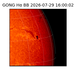 gong - 2026-07-29T16:00:02
