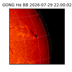 gong - 2026-07-29T22:00:02