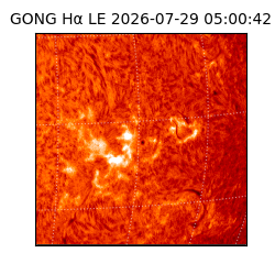 gong - 2026-07-29T05:00:42