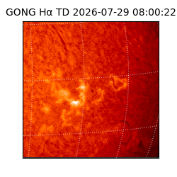 gong - 2026-07-29T08:00:22