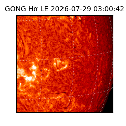gong - 2026-07-29T03:00:42