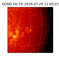 gong - 2026-07-29T11:00:22