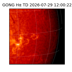 gong - 2026-07-29T12:00:22