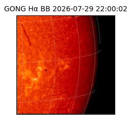 gong - 2026-07-29T22:00:02