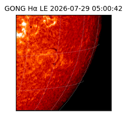 gong - 2026-07-29T05:00:42