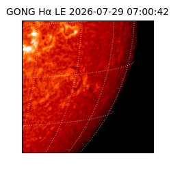 gong - 2026-07-29T07:00:42