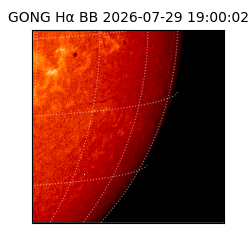 gong - 2026-07-29T19:00:02