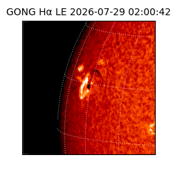 gong - 2026-07-29T02:00:42