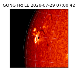 gong - 2026-07-29T07:00:42