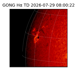 gong - 2026-07-29T08:00:22