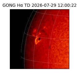 gong - 2026-07-29T12:00:22