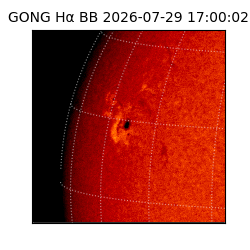 gong - 2026-07-29T17:00:02
