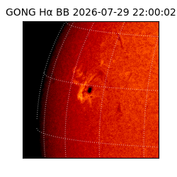 gong - 2026-07-29T22:00:02