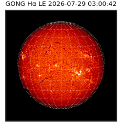 gong - 2026-07-29T03:00:42