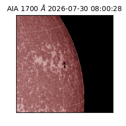saia - 2026-07-30T08:00:28.717000