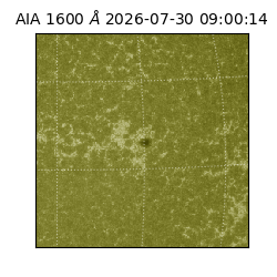 saia - 2026-07-30T09:00:14.124000