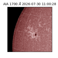 saia - 2026-07-30T11:00:28.716000